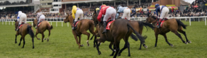 Newbury Pferderennen