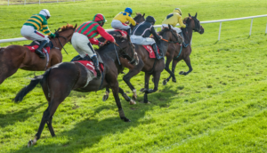 Pferderennen Sprint